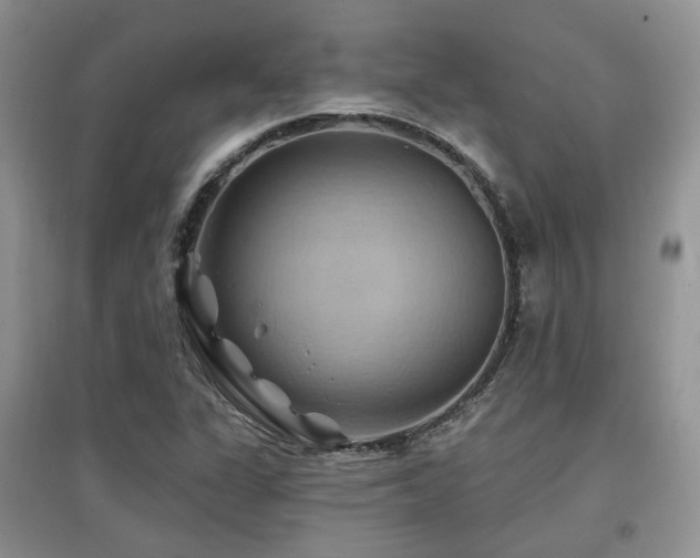 X0000097831311200803141136