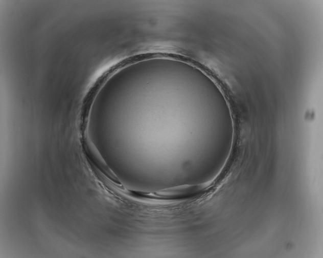X0000097831312200803141136