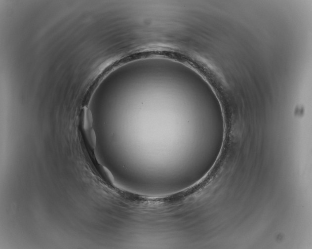X0000097831313200803141136