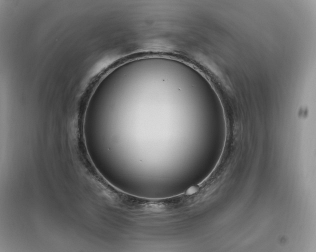 X0000097831315200803141136