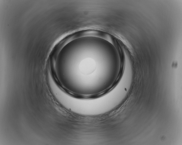 X0000097831316200803141136