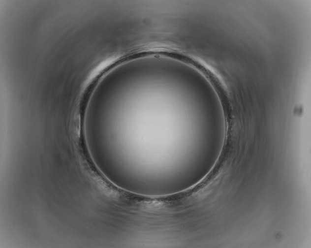 X0000097831317200803141136