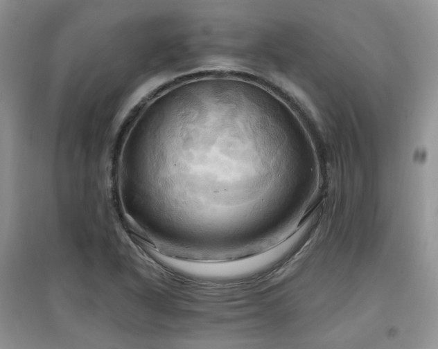 X0000097831318200803141136