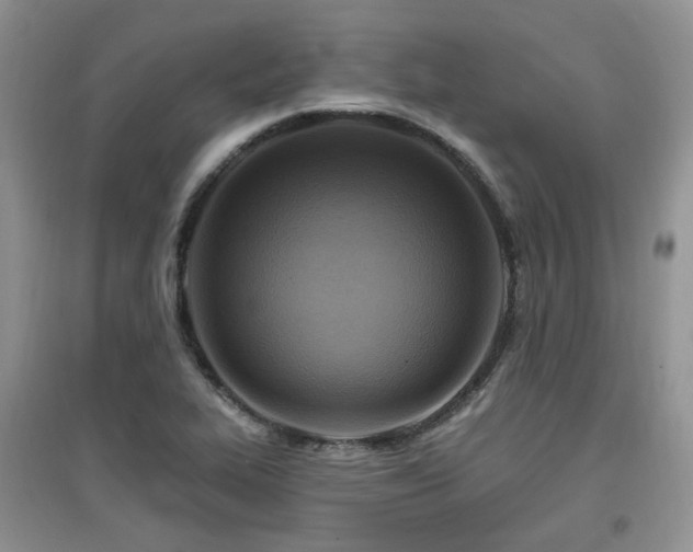X0000097831319200803141136