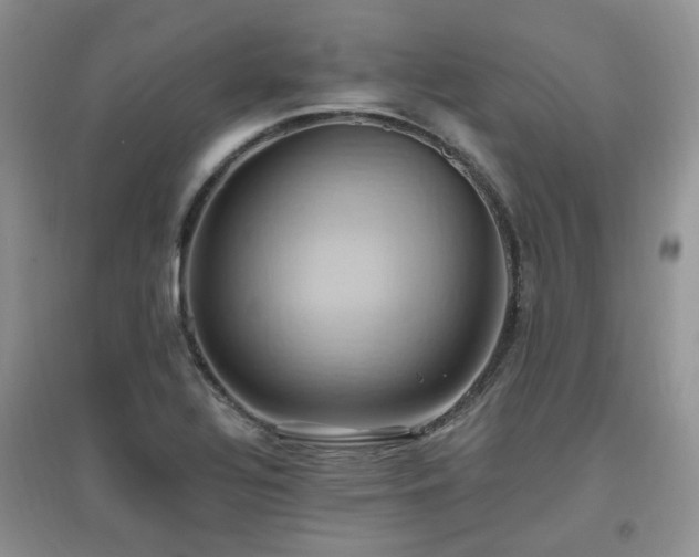 X0000097831320200803141136