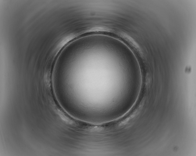 X0000097831321200803141136