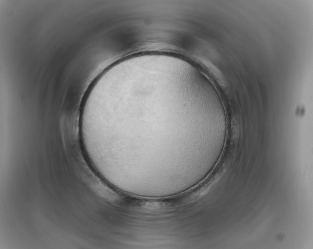X0000097831322200803141136