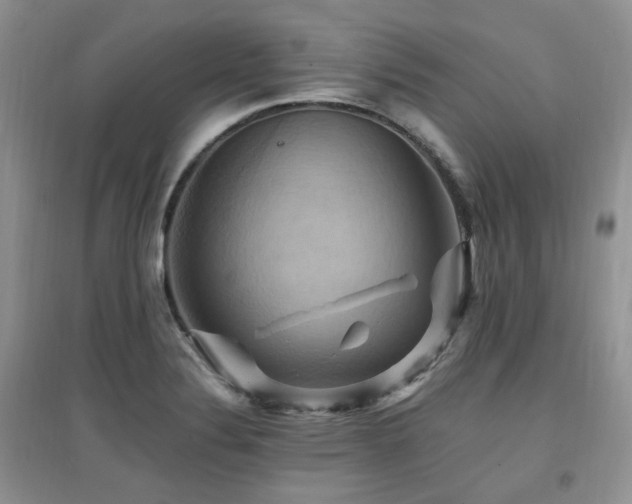X0000097831324200803141136