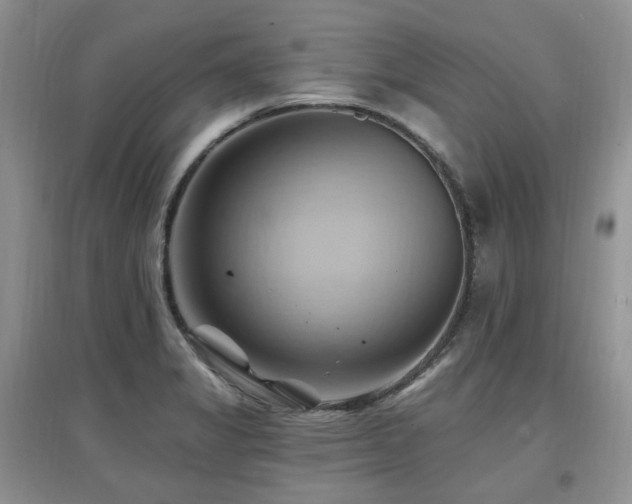 X0000097831325200803141136