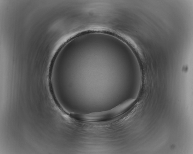 X0000097831327200803141136