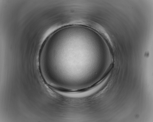 X0000097831328200803141136