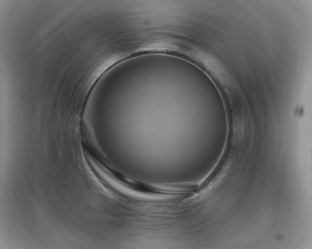 X0000097831329200803141136