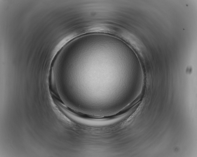X0000097831330200803141136