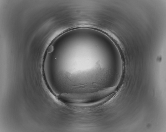 X0000097831333200803141136