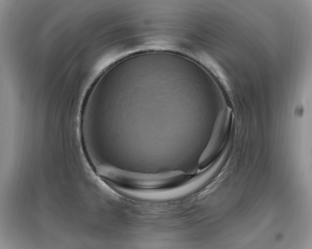 X0000097831334200803141136