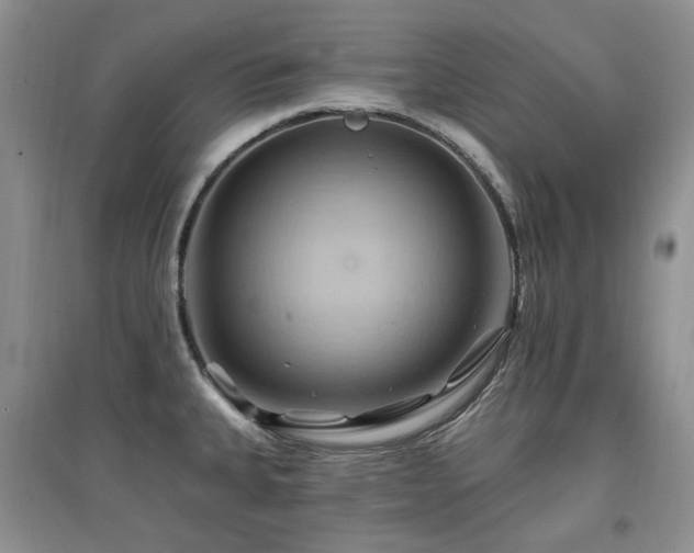 X0000097831335200803141136