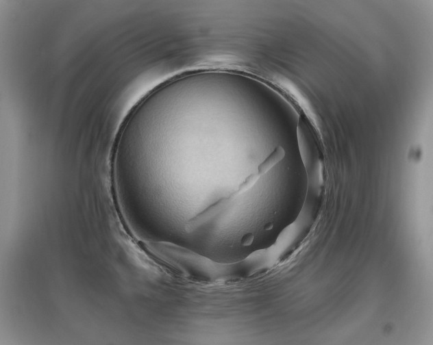X0000097831336200803141136
