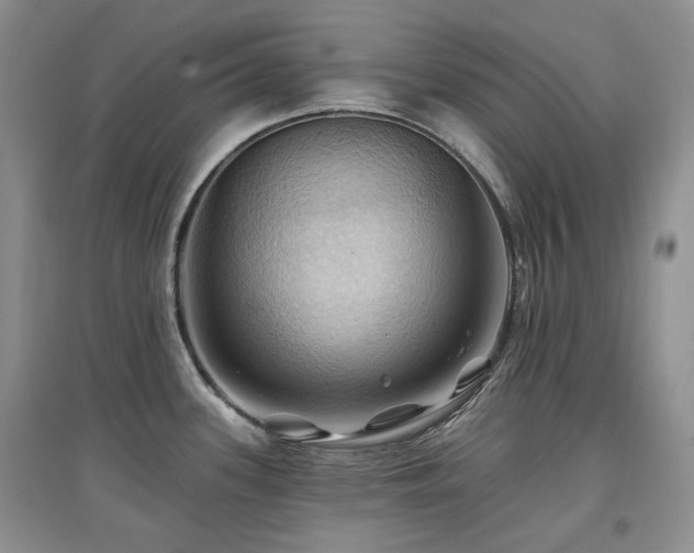 X0000097831339200803141137