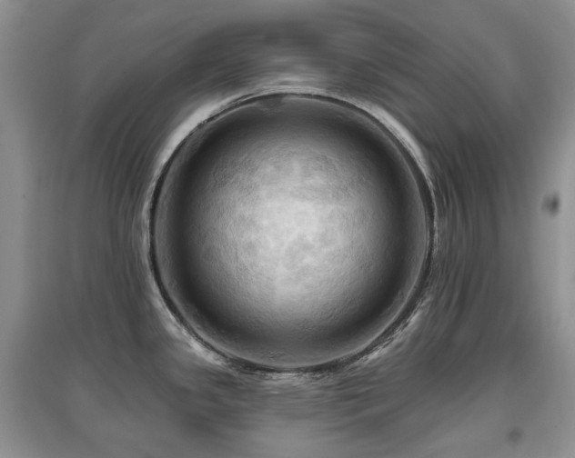 X0000097831341200803141137