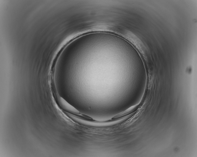 X0000097831342200803141137