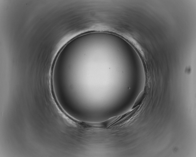 X0000097831343200803141137