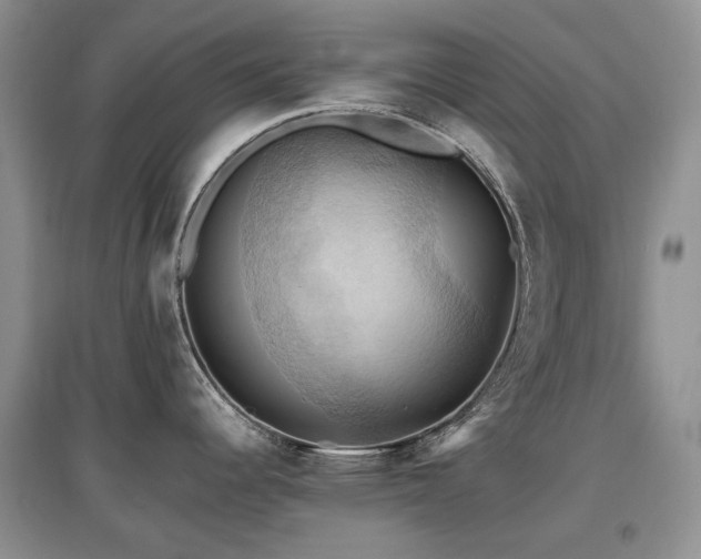 X0000097831344200803141137