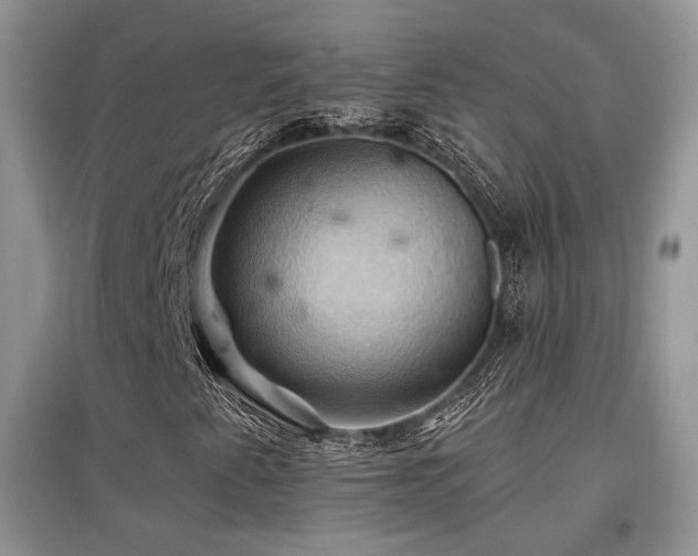 X0000097831345200803141136