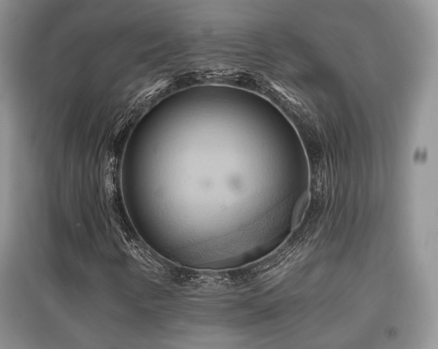 X0000097831346200803141136