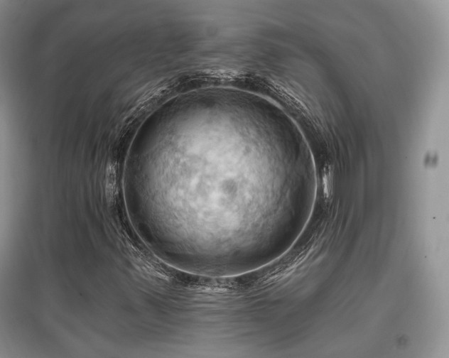 X0000097831347200803141136