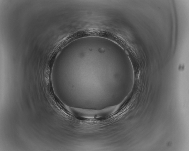 X0000097831348200803141136