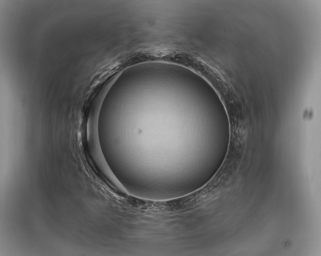 X0000097831349200803141136