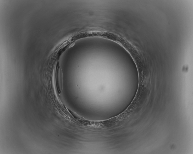 X0000097831351200803141136