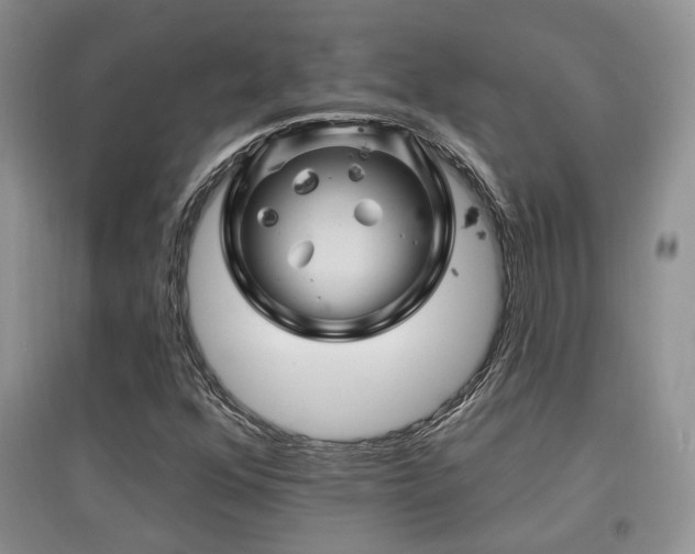 X0000097831352200803141136