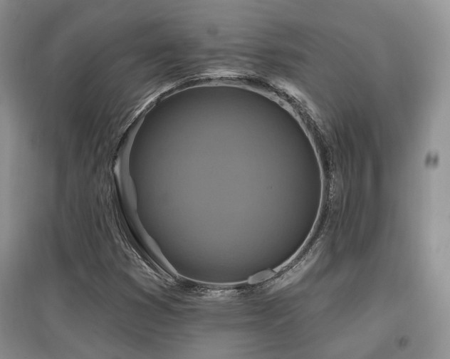 X0000097831353200803141136