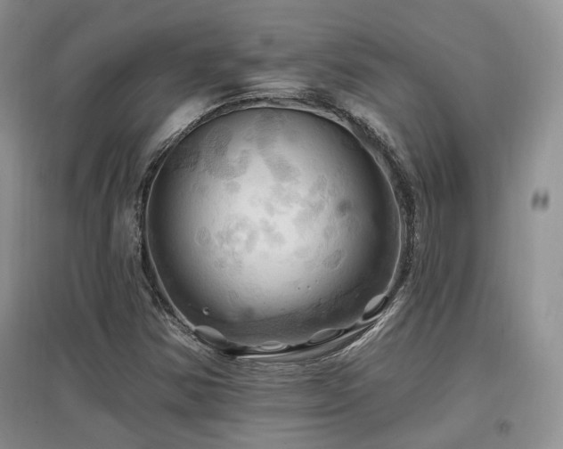 X0000097831354200803141136