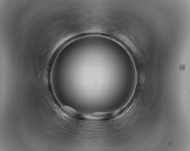 X0000097831356200803141136