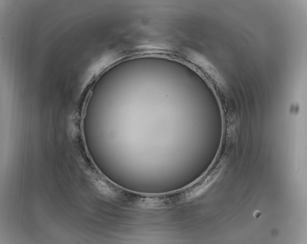 X0000097831357200803141136