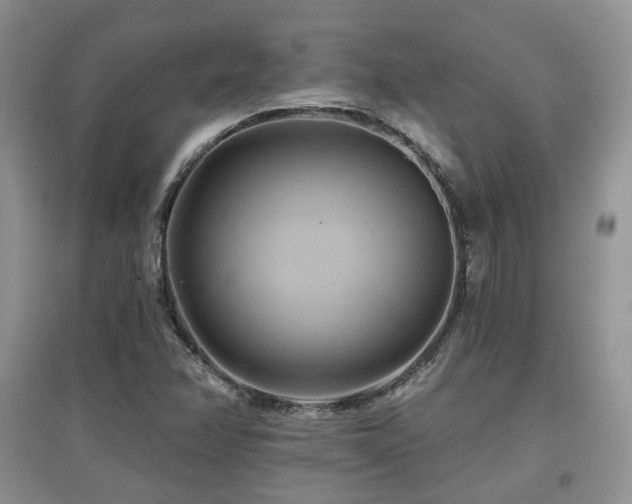 X0000097831358200803141136