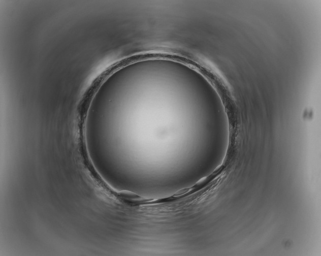 X0000097831360200803141136