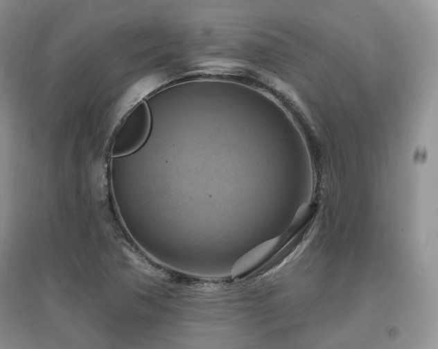 X0000097831362200803141136