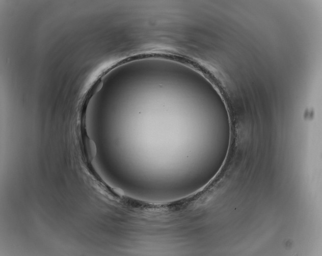 X0000097831363200803141136