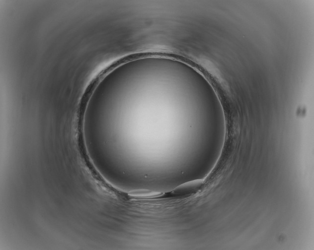 X0000097831364200803141136