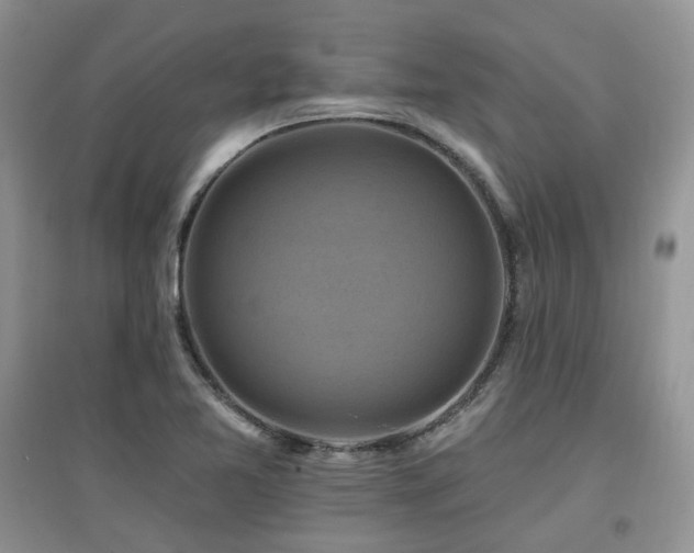 X0000097831365200803141135