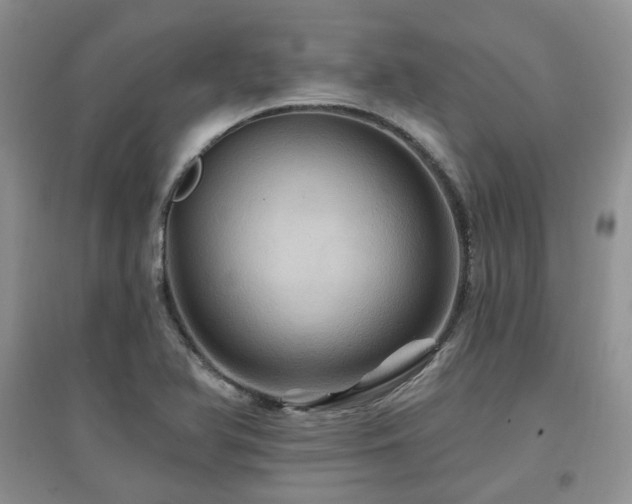 X0000097831366200803141135