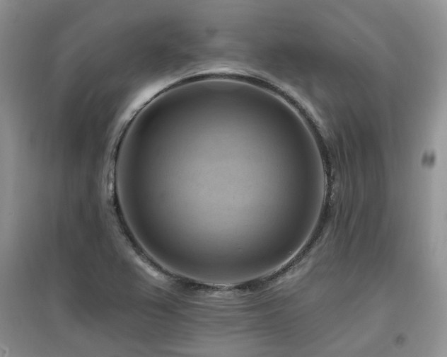 X0000097831367200803141135