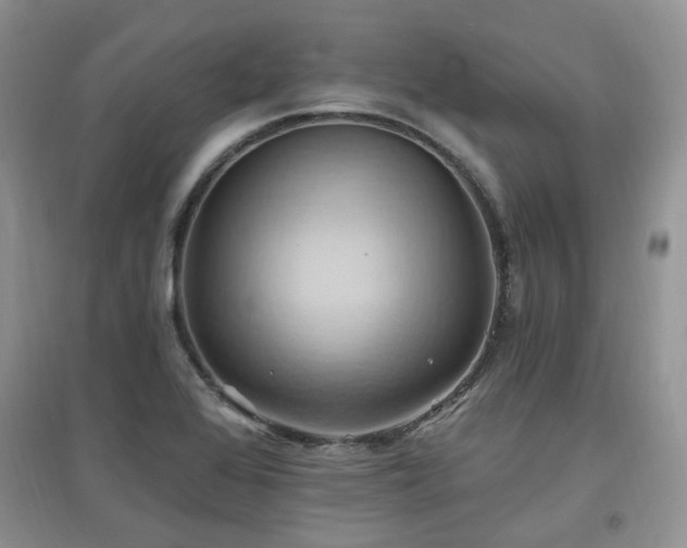 X0000097831368200803141135