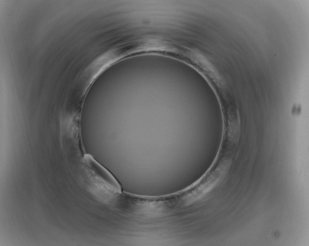 X0000097831369200803141135