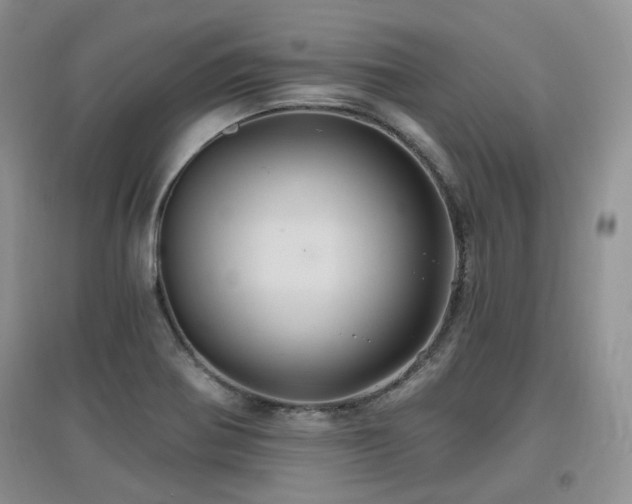 X0000097831370200803141135