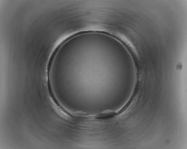 X0000097831372200803141135
