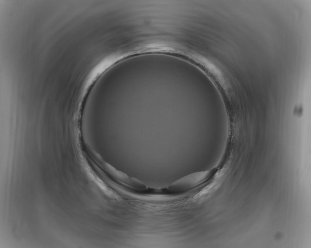 X0000097831373200803141135